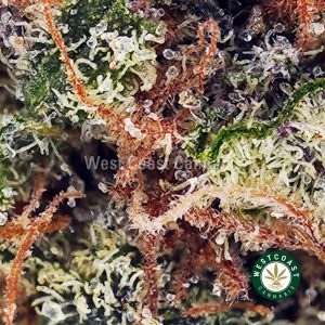 Buy Black Diamond AAA wc cannabis weed dispensary & online pot shop