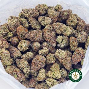 Buy Three Kings AAAA wc cannabis weed dispensary & online pot shop