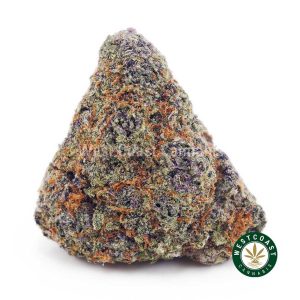 Buy King Louie XIII AAAA wc cannabis weed dispensary & online pot shop