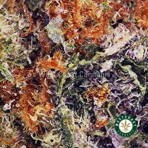 Buy King Louie XIII AAAA wc cannabis weed dispensary & online pot shop