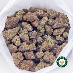 Buy King Louie XIII AAAA wc cannabis weed dispensary & online pot shop