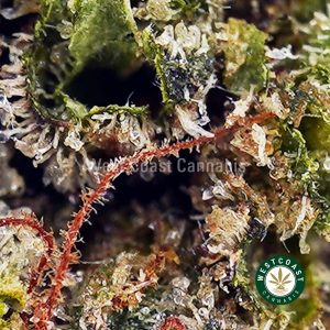 Buy Death Star AAA wc cannabis weed dispensary & online pot shop