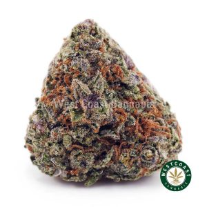 Buy Greasy Pink AAA wc cannabis weed dispensary & online pot shop
