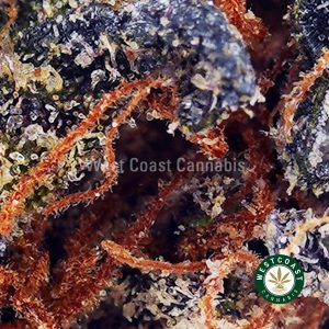 Buy Candy Kush AAA wc cannabis weed dispensary & online pot shop