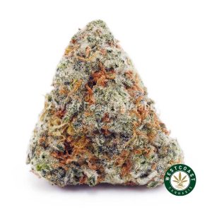 Buy Meat Breath AAA wc cannabis weed dispensary & online pot shop