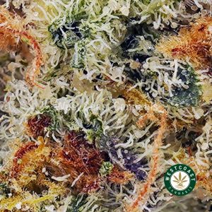 Buy Meat Breath AAA wc cannabis weed dispensary & online pot shop