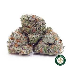Buy Monster Cookies AAAA (Popcorn Nugs) wc cannabis weed dispensary & online pot shop