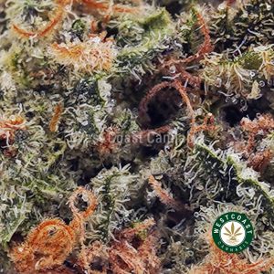 Buy Monster Cookies AAAA (Popcorn Nugs) wc cannabis weed dispensary & online pot shop