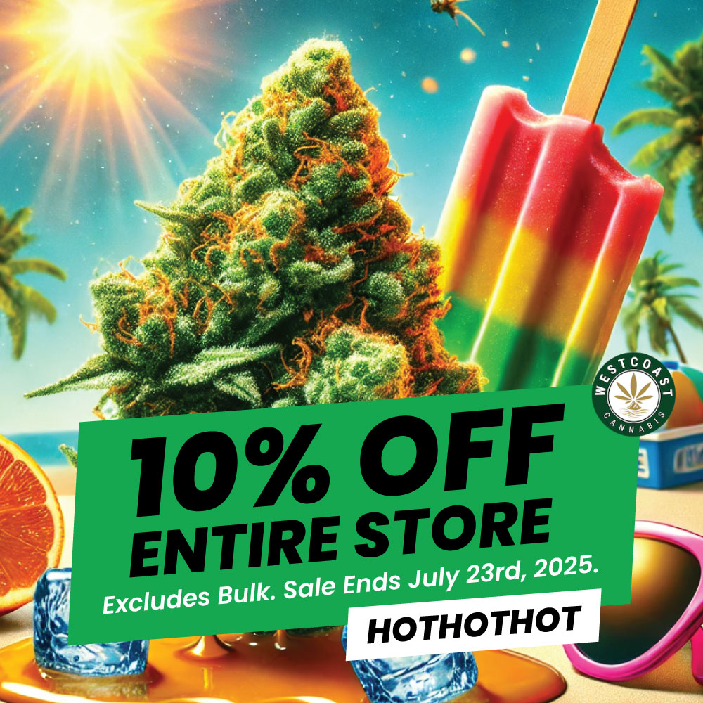 wcc HOTHOTHOT banner