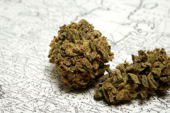 High THC strains are in incredibly high demand. Our online weed dispensary sells high-THC weed at discounted cannabis prices. Buy now.