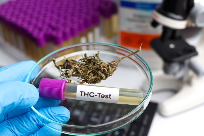 Curious how much THC is too much for beginners? Learn the best THC dosage for beginners, how THC affects the body, & where to buy weed online.