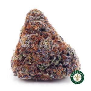 Buy Orange Cookies AA wc cannabis weed dispensary & online pot shop