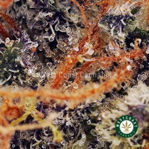 Buy Orange Cookies AA wc cannabis weed dispensary & online pot shop
