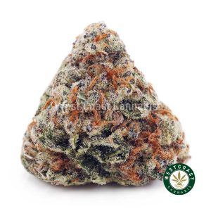 Buy Cookie Crasher AA wc cannabis weed dispensary & online pot shop