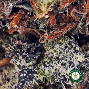Buy Darth Vader OG AAAA wc cannabis weed dispensary & online pot shop