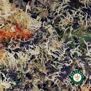 Buy Passionfruit Kush AAAA wc cannabis weed dispensary & online pot shop