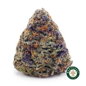 Buy Girl Scout Cookies (GSC) AAA wc cannabis weed dispensary & online pot shop