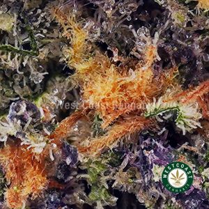 Buy Girl Scout Cookies (GSC) AAA wc cannabis weed dispensary & online pot shop