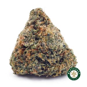 Buy Northern Lights AAA wc cannabis weed dispensary & online pot shop