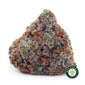 Buy Gorilla Goo AAA wc cannabis weed dispensary & online pot shop