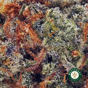 Buy Gorilla Goo AAA wc cannabis weed dispensary & online pot shop