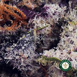 Buy Chocolate Kush AAAA wc cannabis weed dispensary & online pot shop
