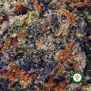 Buy Cotton Candy Kush AAAA wc cannabis weed dispensary & online pot shop