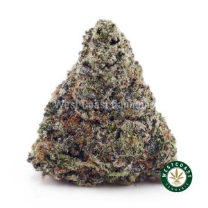 Buy Ghost Train Haze AAA wc cannabis weed dispensary & online pot shop