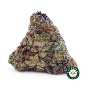 Buy Greasy Runtz AAAA wc cannabis weed dispensary & online pot shop