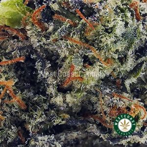 Buy 91 Octane AAAA+ wc cannabis weed dispensary & online pot shop