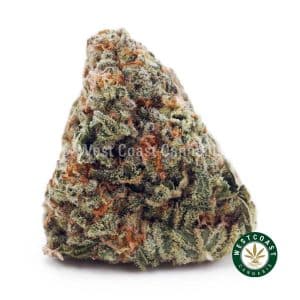 Buy Biscotti Pie AA wc cannabis weed dispensary & online pot shop
