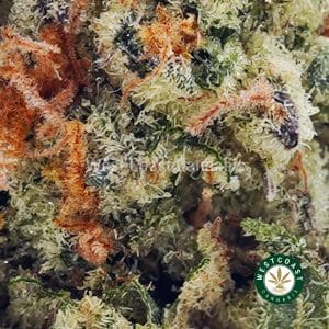 Buy Biscotti Pie AA wc cannabis weed dispensary & online pot shop