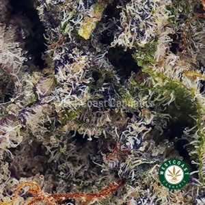 Buy London Poundcake AAAA wc cannabis weed dispensary & online pot shop