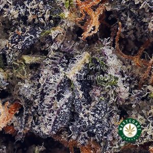 Buy Wedding Pie AAAA wc cannabis weed dispensary & online pot shop