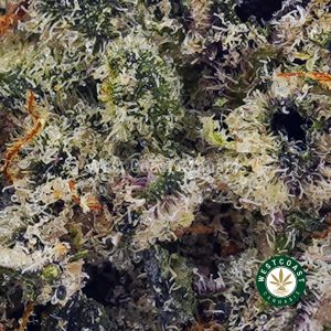 Buy Supreme Khalifa Mintz AAAA+ wc cannabis weed dispensary & online pot shop