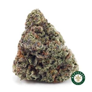 Buy Bacio Gelato AAAA+ wc cannabis weed dispensary & online pot shop