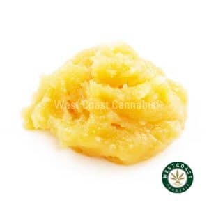 W801A2 RAINBOWBELTS CAVIAR WCCANNABIS
