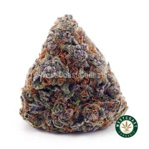 Buy Purple Gushers AAAAwc cannabis weed dispensary & online pot shop