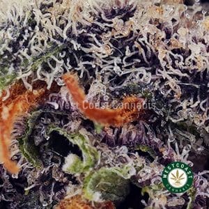 Buy Purple Gushers AAAAwc cannabis weed dispensary & online pot shop Buy Purple Gushers AAAAwc cannabis weed dispensary & online pot shop