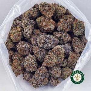Buy Purple Gushers AAAAwc cannabis weed dispensary & online pot shop Buy Purple Gushers AAAAwc cannabis weed dispensary & online pot shop