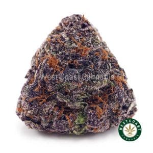 Buy Purple Haze AAAA wc cannabis weed dispensary & online pot shop