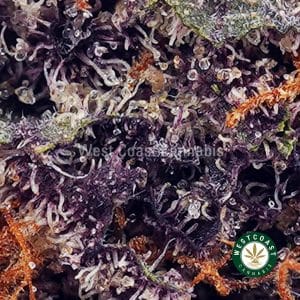 Buy Purple Haze AAAA wc cannabis weed dispensary & online pot shop