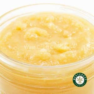 W817A3 MONSTERCOOKIES LIVERESIN WCCANNABIS