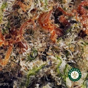 Buy White Skunk AAA wc cannabis weed dispensary & online pot shop