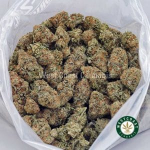 Buy White Skunk AAA wc cannabis weed dispensary & online pot shop