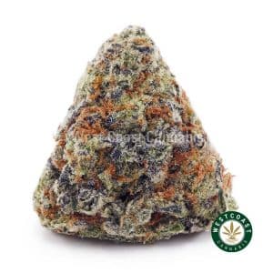 Buy Gorilla Biscuit AAA wc cannabis weed dispensary & online pot shop