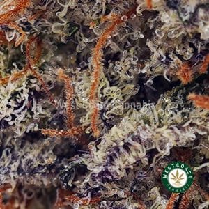 Buy Zkittles AAAA wc cannabis weed dispensary & online pot shop Buy Zkittles AAAA wc cannabis weed dispensary & online pot shop
