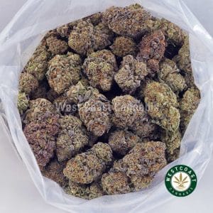 Buy Zkittles AAAA wc cannabis weed dispensary & online pot shop Buy Zkittles AAAA wc cannabis weed dispensary & online pot shop