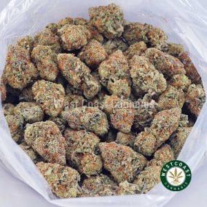 Buy Animal Face AA wc cannabis weed dispensary & online pot shop
