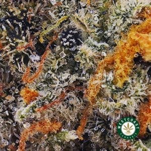 Buy Gelato Cake AAA wc cannabis weed dispensary & online pot shop